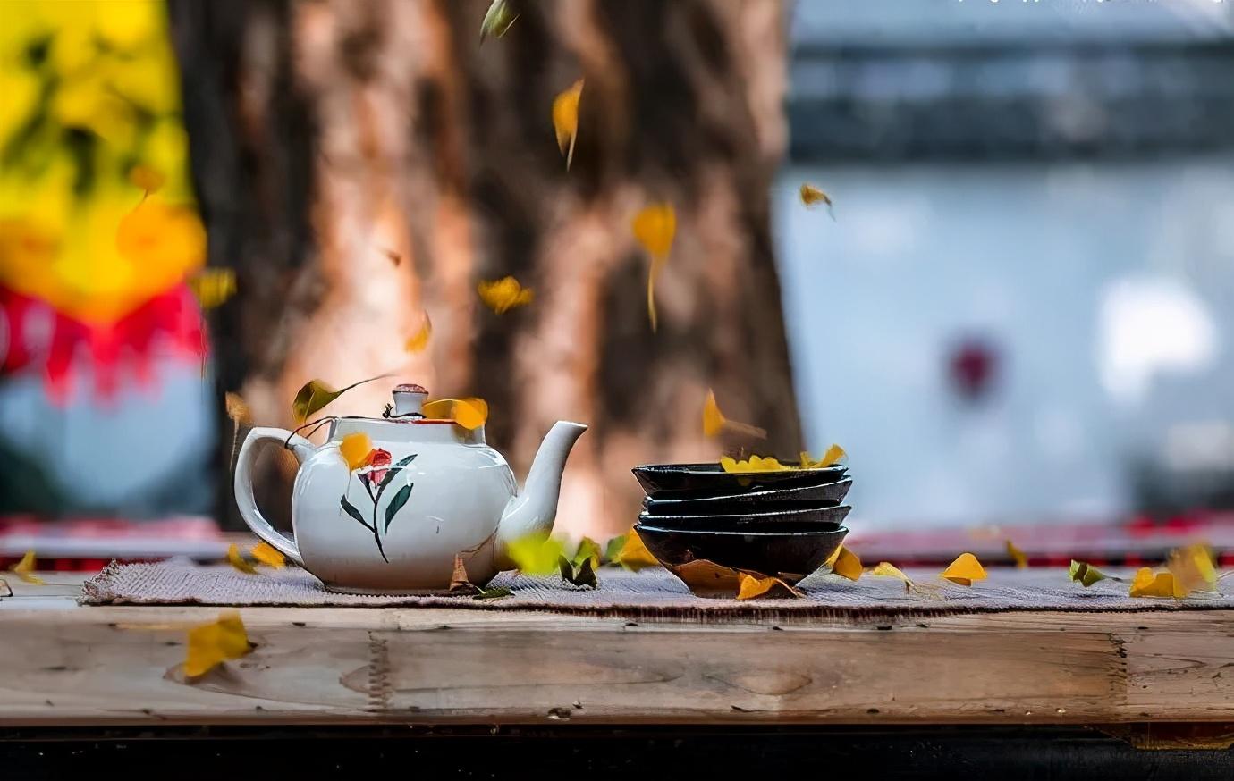 晚秋心语，感受季节的情怀