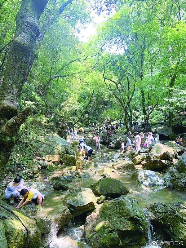 大口林场风景区，自然与人文的和谐共融