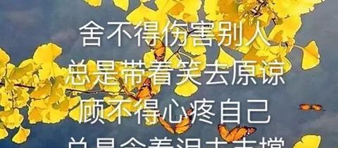 古典文学中的情感深度，探寻心情失落的诗句