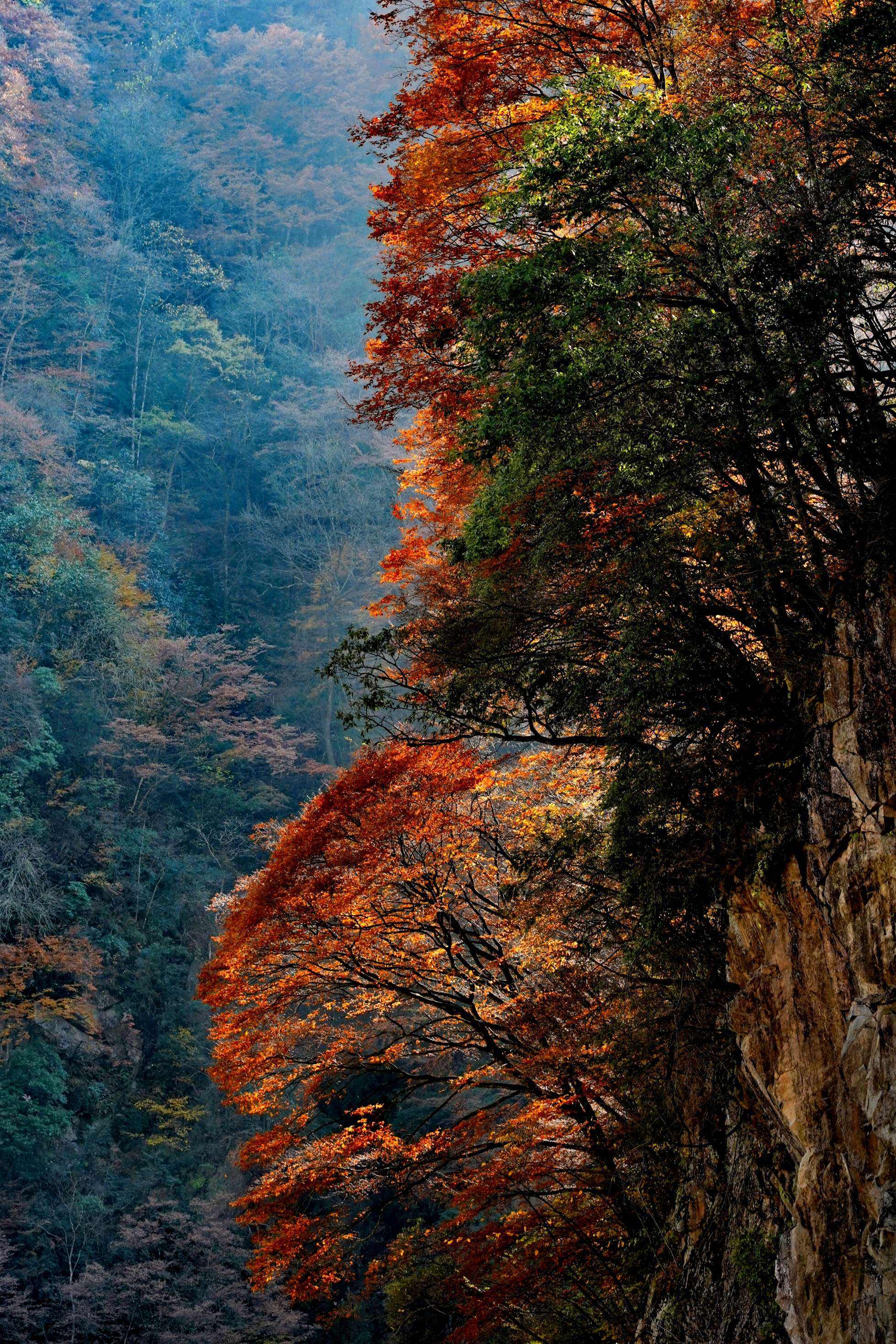 光雾山风景区，自然人文的和谐交响——探寻自然之韵与人文之魂的交融之处