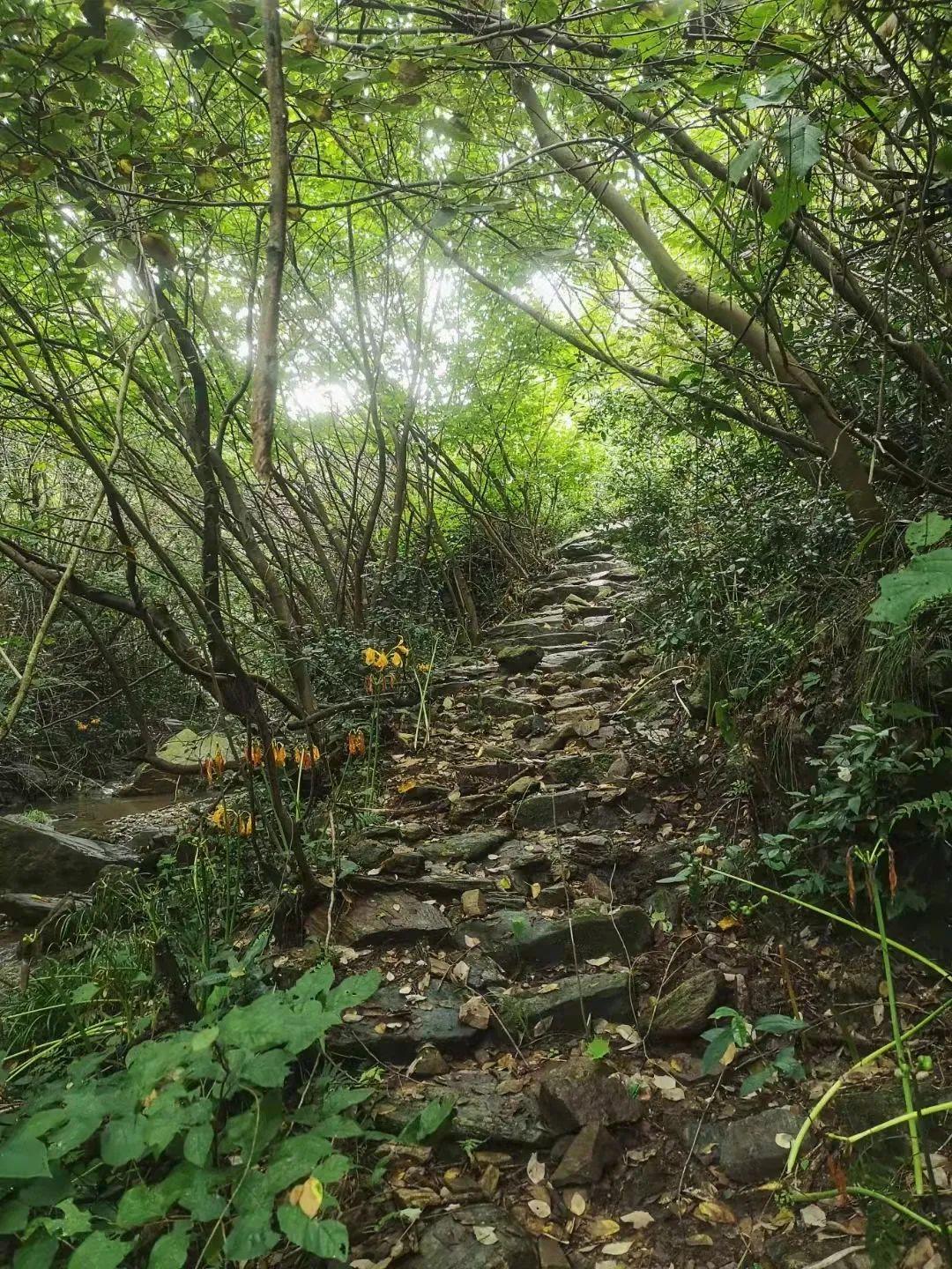 白云寨风景区，自然人文交融之美