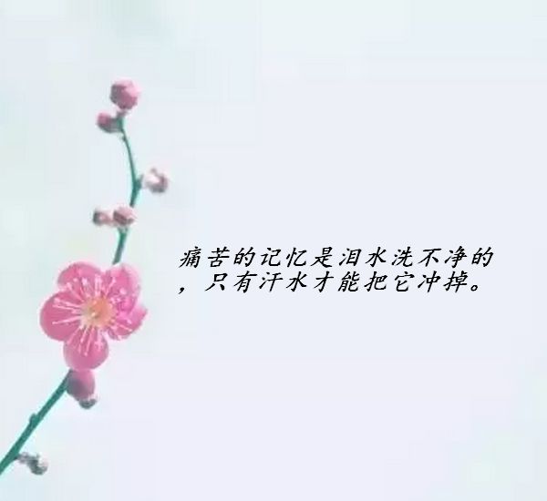 朋友圈情感瞬间，心情短语与思绪分享