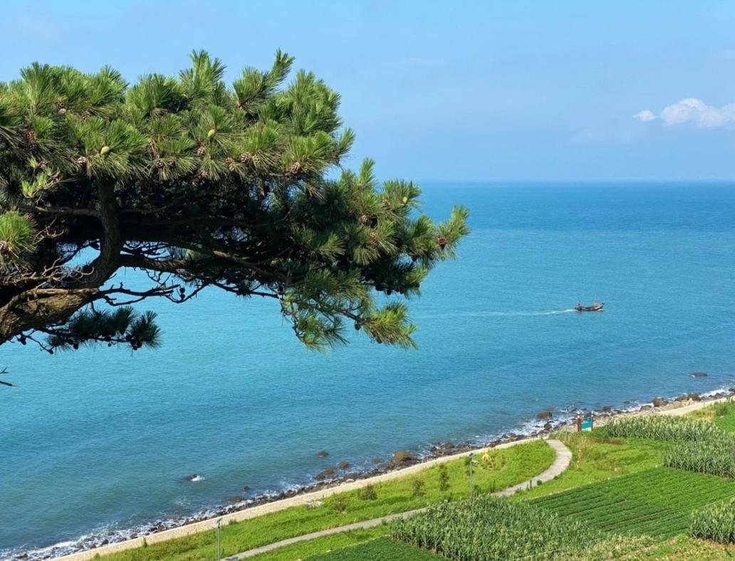 青岛大海美景，真实图片的生动呈现