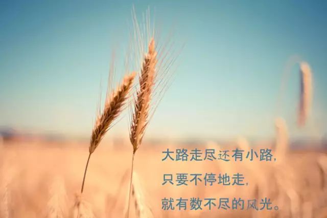 追梦的勇气与力量，励志篇章