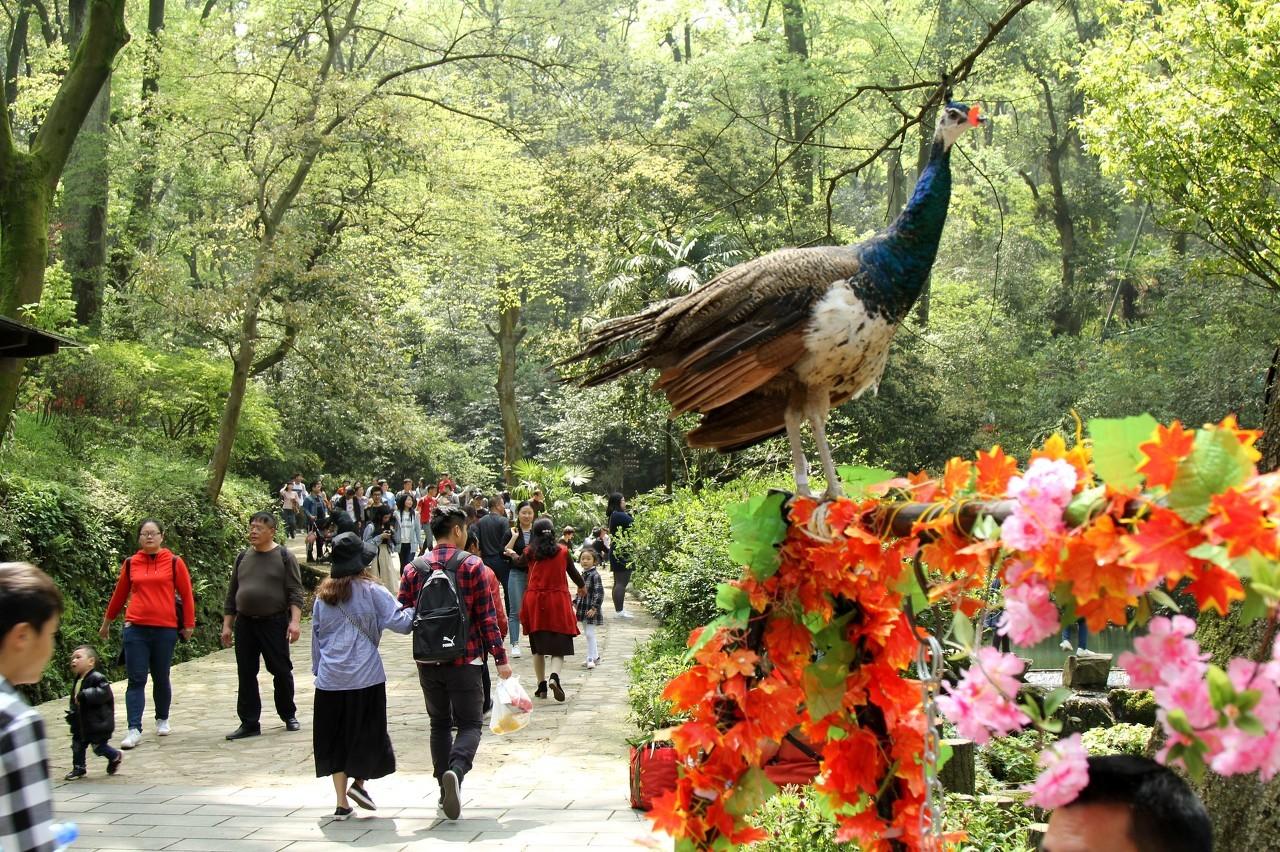 旅游胜地风景图片的魅力与吸引力探秘