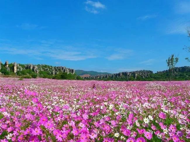 云南自然之美的绽放，风景如画，美不胜收