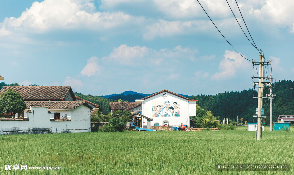 农村风景图片，自然之美的独特展现