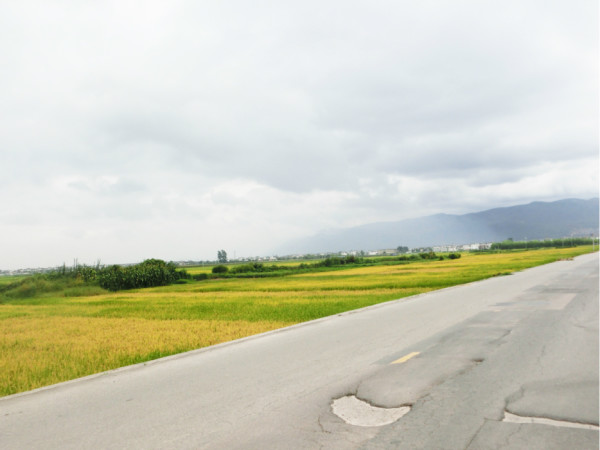 沿途风景，视觉与心灵的奇妙旅程