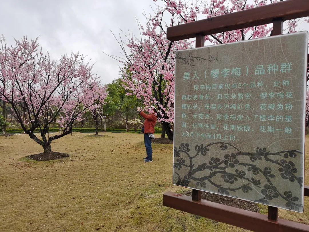 莘庄公园风景区，自然与文化交融的胜地