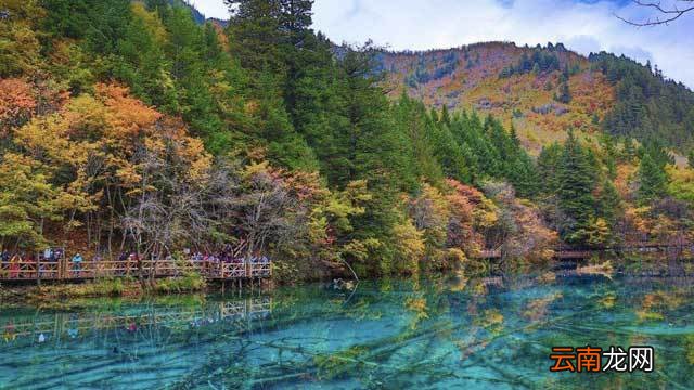 九寨沟风景区门票详解，价格、解析与建议