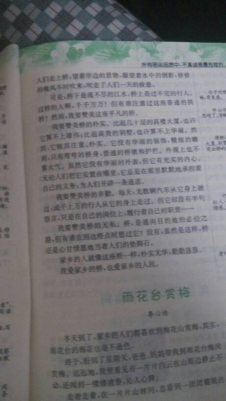 自然之美的探索，一篇风景作文400字