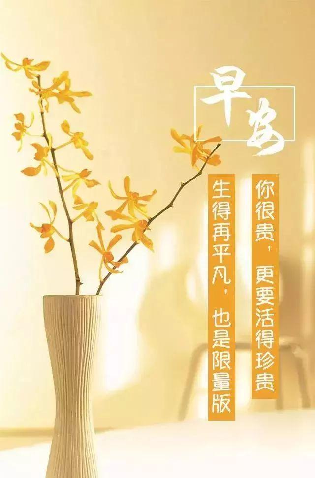 励志之路，语录启示与鼓舞的力量