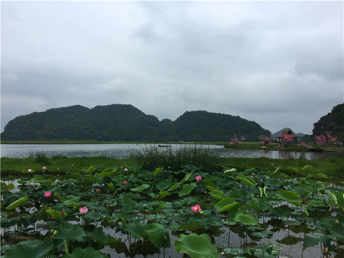 普者黑风景区，自然宝藏，值得探索的绝美之地