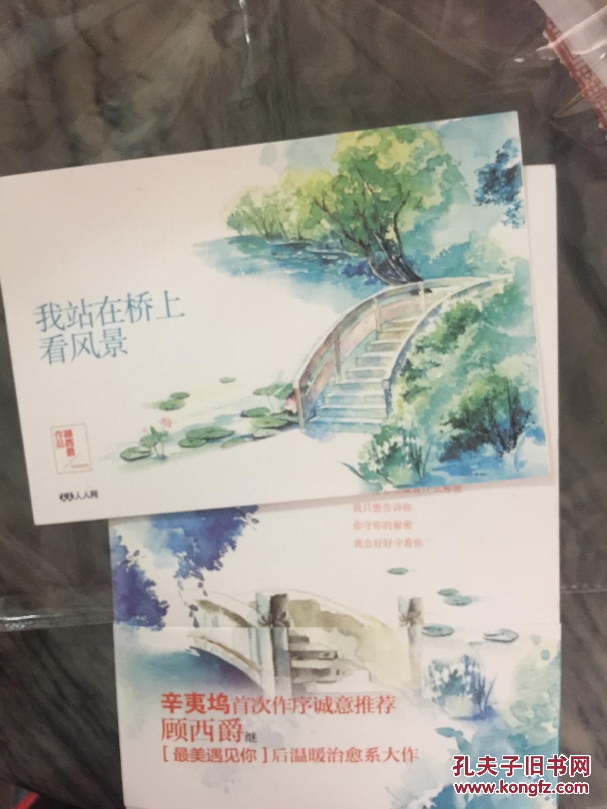 我站在桥上看风景小说简介或概述