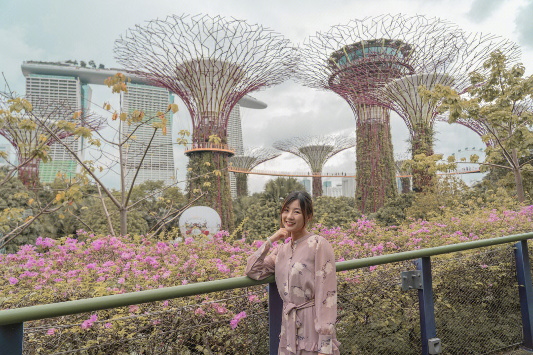 新加坡之旅，城市繁华与自然的和谐探索心情感悟