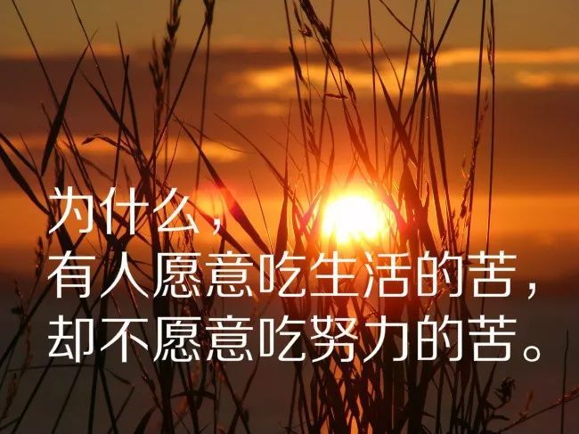 励志箴言，简洁鼓舞，力量无穷