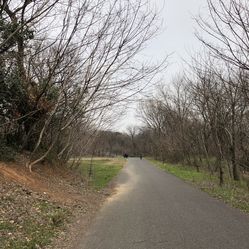 南京龙王山风景区，自然与人文的和谐交响