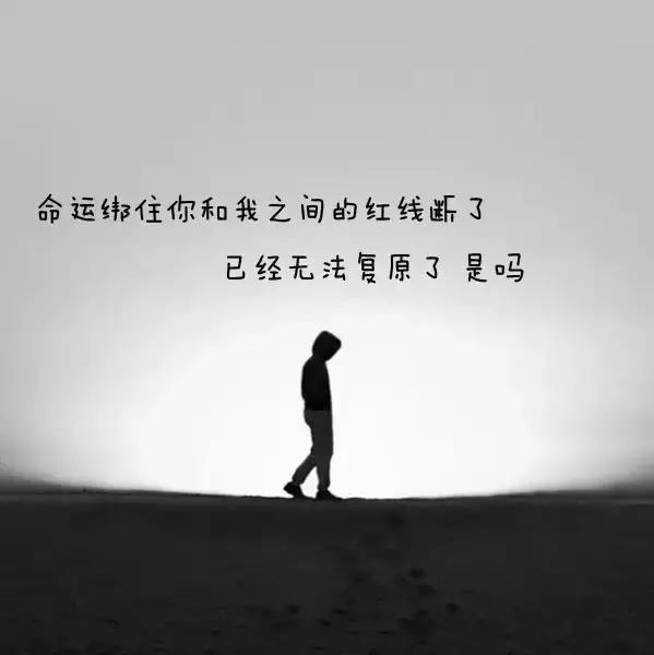 励志佳句，照亮人生光辉