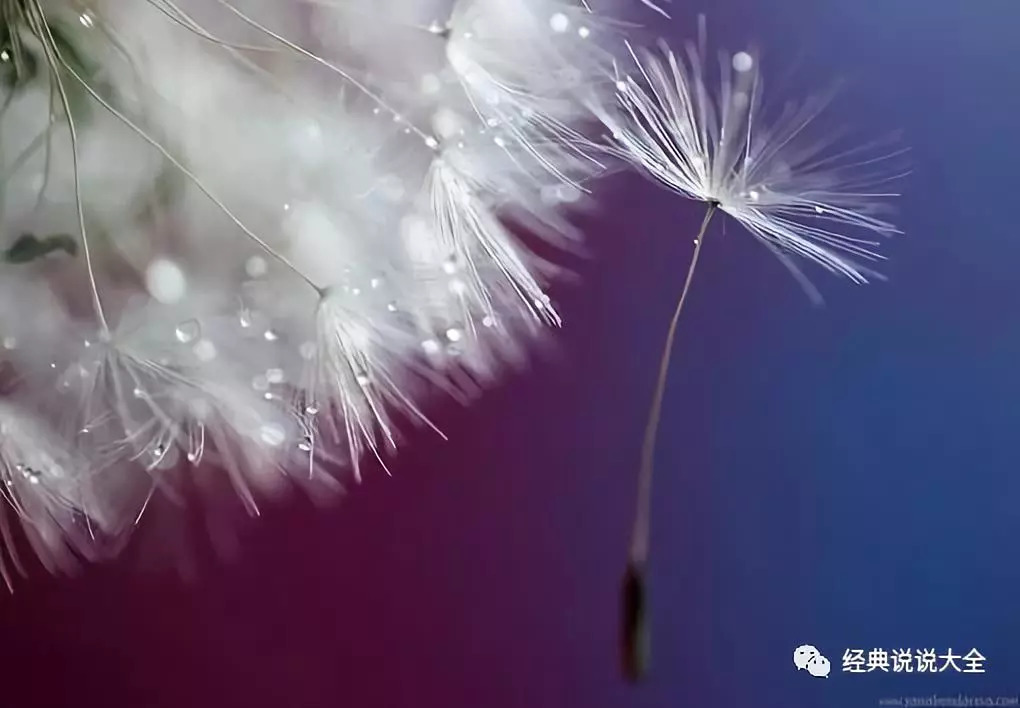 下雨夜，我的情感独白