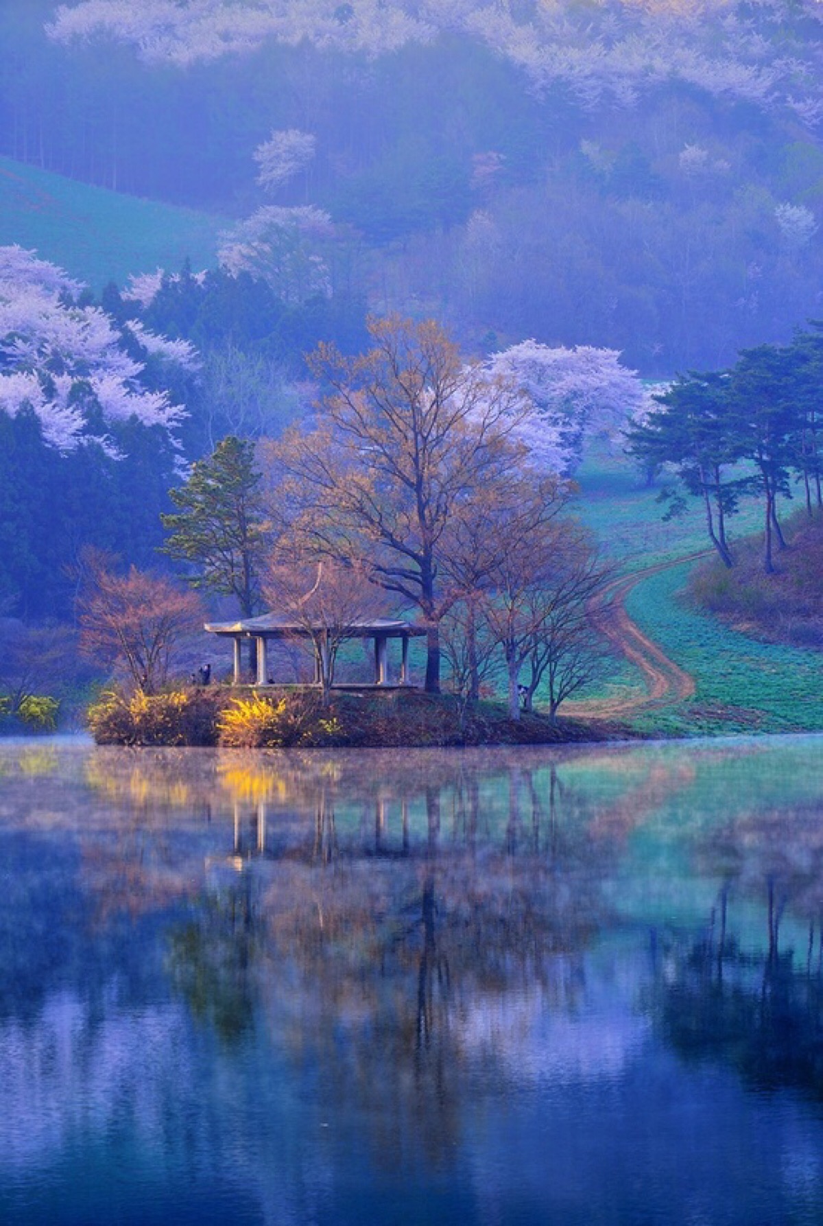 自然之韵的魅力，风景美图展现无尽魅力