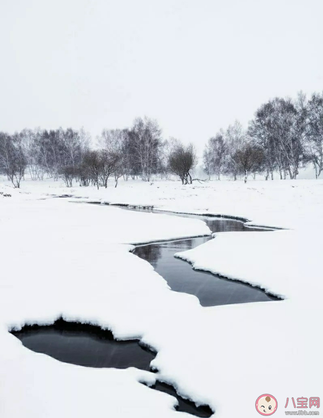 冬日雪舞，雪中情感绘卷