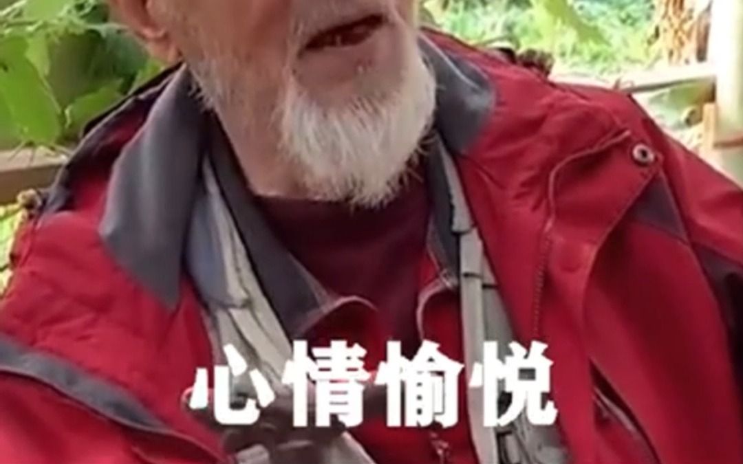 心情愉悦表情包，揭秘表情符号背后的情感奥秘