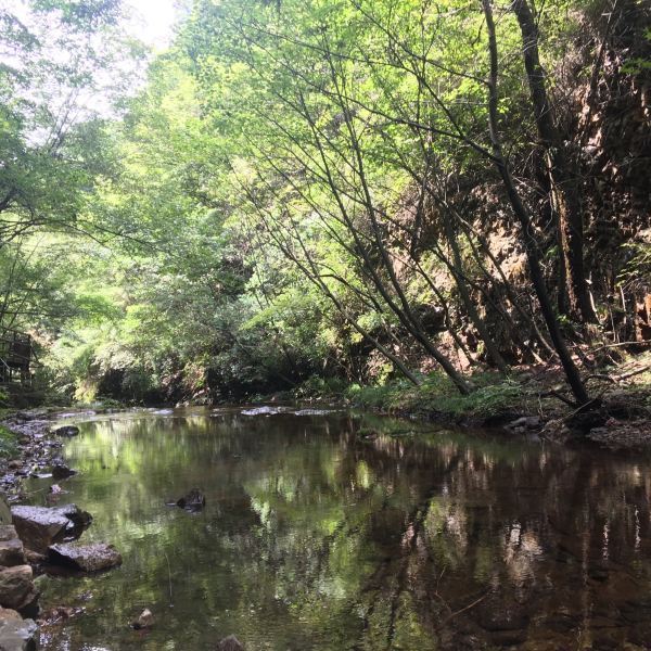 九龙潭自然风景区天气与户外体验，自然风貌与活动感受