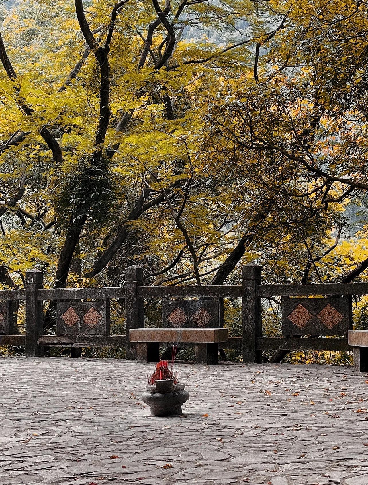 深圳园山风景区，自然与人文的和谐融合