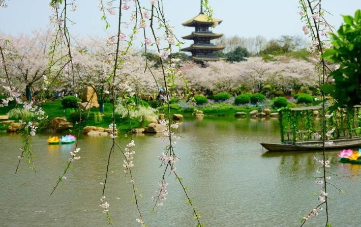 杭州西湖风景区探秘，绝美风光一览无余