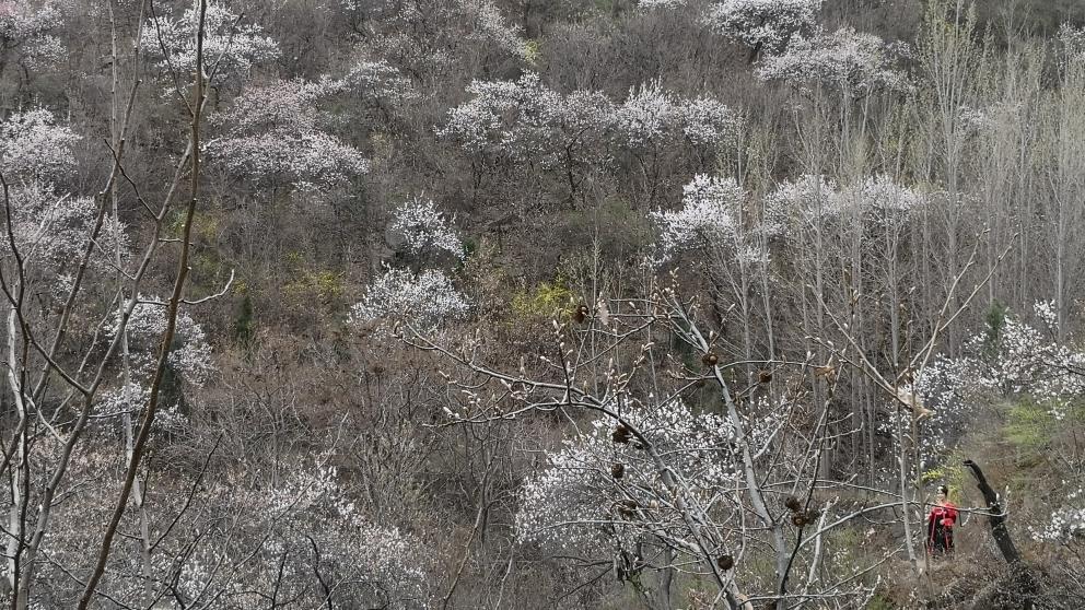 环翠峪风景名胜区，自然与人文的和谐交融之景