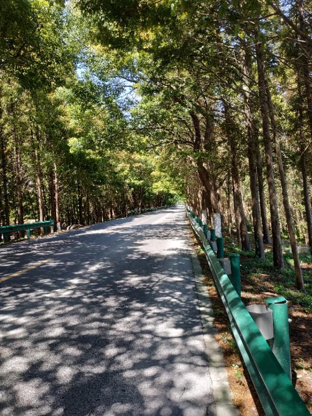 平湖九龙山风景区入口，自然与人文的和谐交融之地