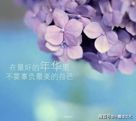 探索快乐的源泉，让人心情愉快的温馨语句