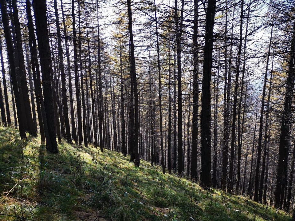 驼梁风景区联系电话，开启自然探索之旅的必备资讯