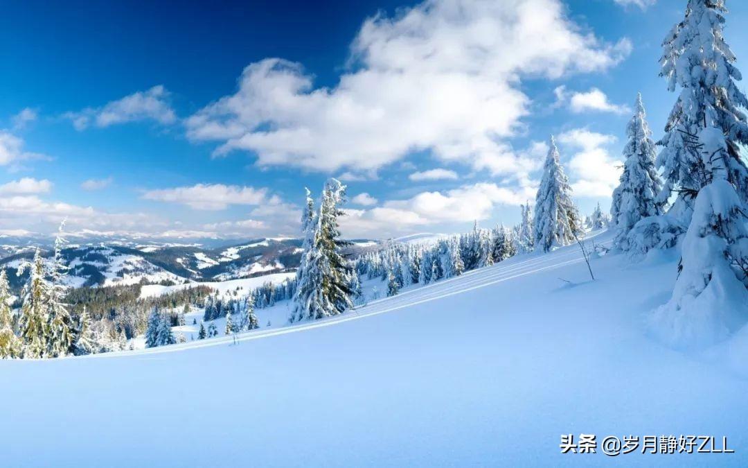 雪落心变，情感随雪飘舞