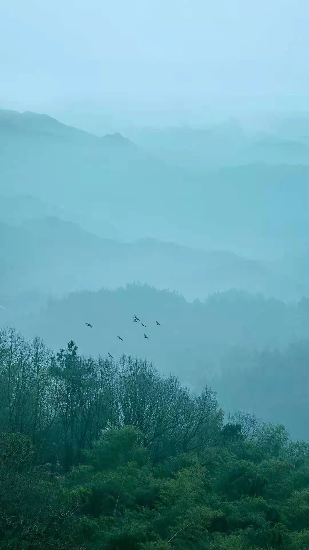 山长水远，人生旅途的诗意与坚韧之旅