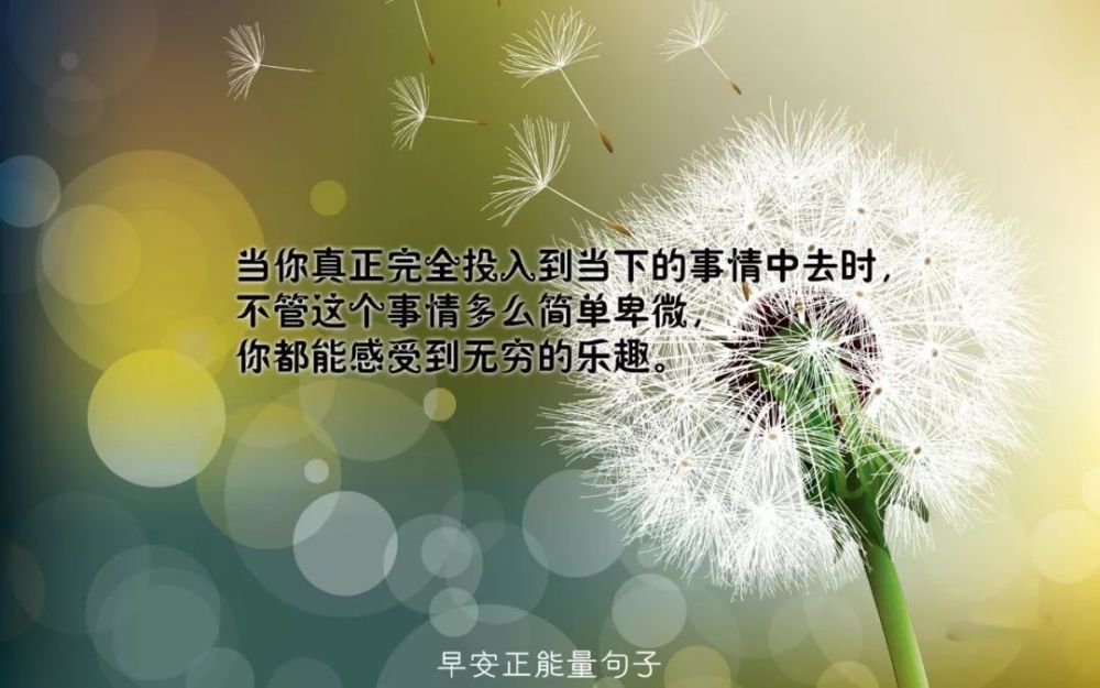 励志坚强阳光女生网名背后的故事与力量，一个不屈的奋斗之旅