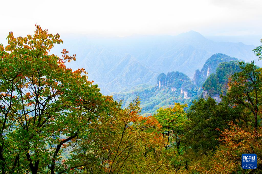 光雾山风景区，自然之韵，人间仙境之美标题简洁明了，突出了风景区的自然韵味和人间仙境的特点。