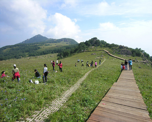 探访白草畔自然风景区，自然之美的全景展现