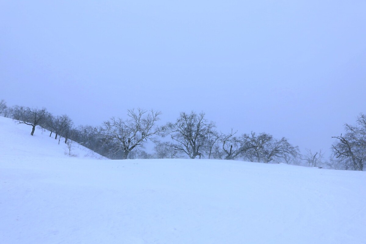 诗意白雪世界，纯净与宁静的交响