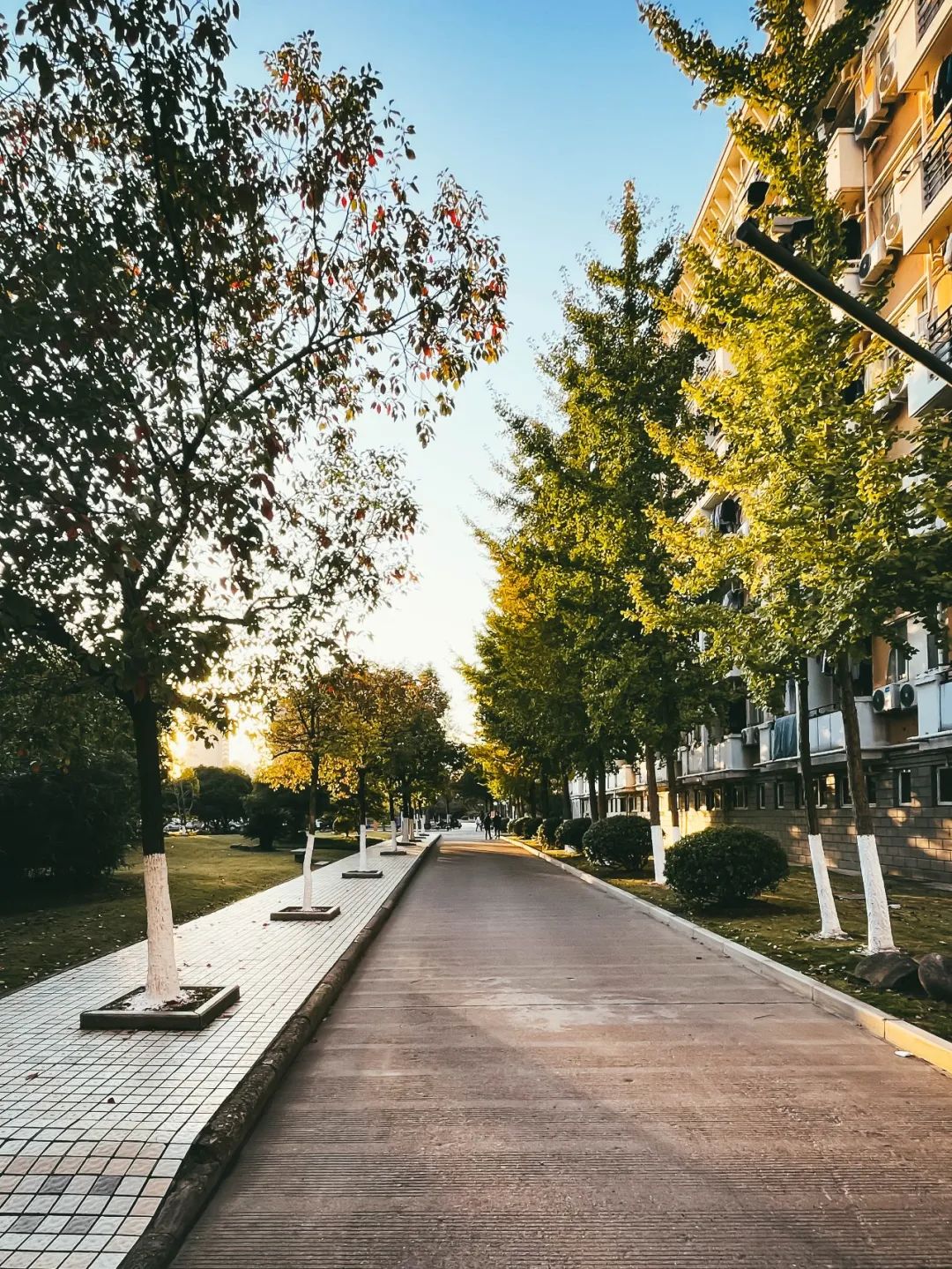 校园青春风采，绽放的青春画卷