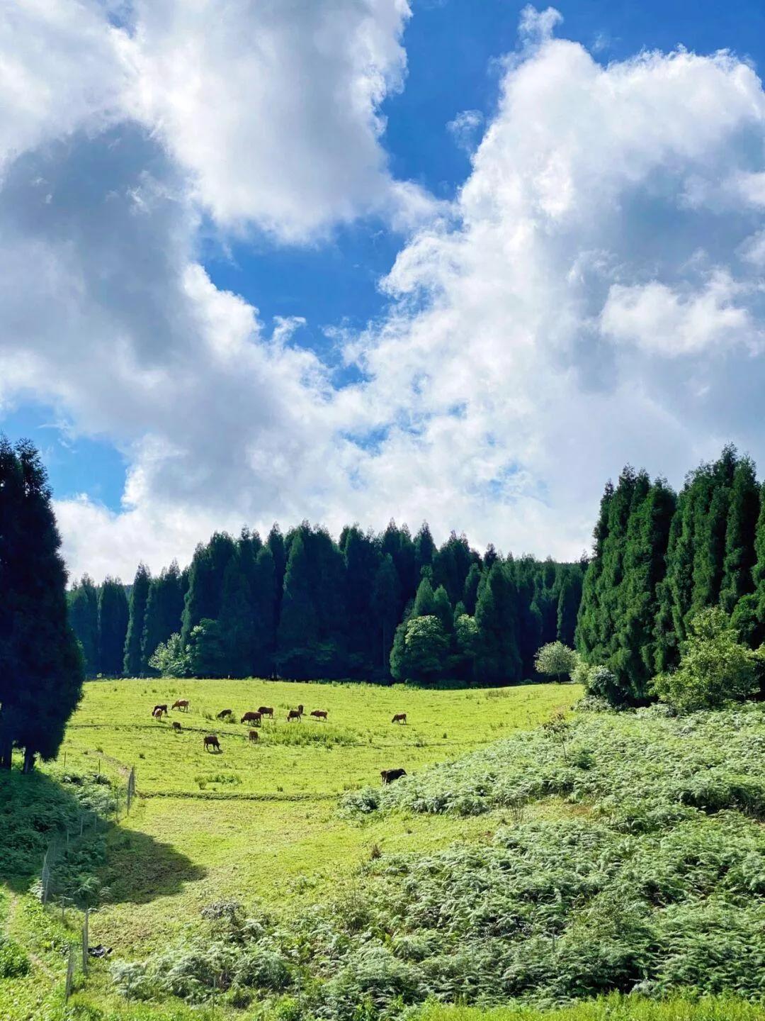 大自然的风景，无尽之美与和谐之韵的诗意展现