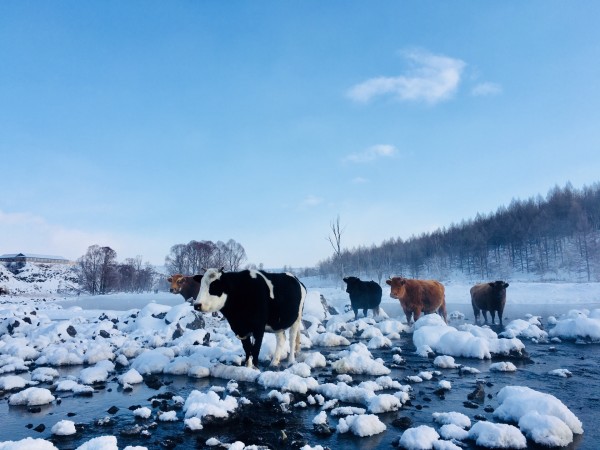 阿尔山寒冬风光，冬日里的冰雪画卷