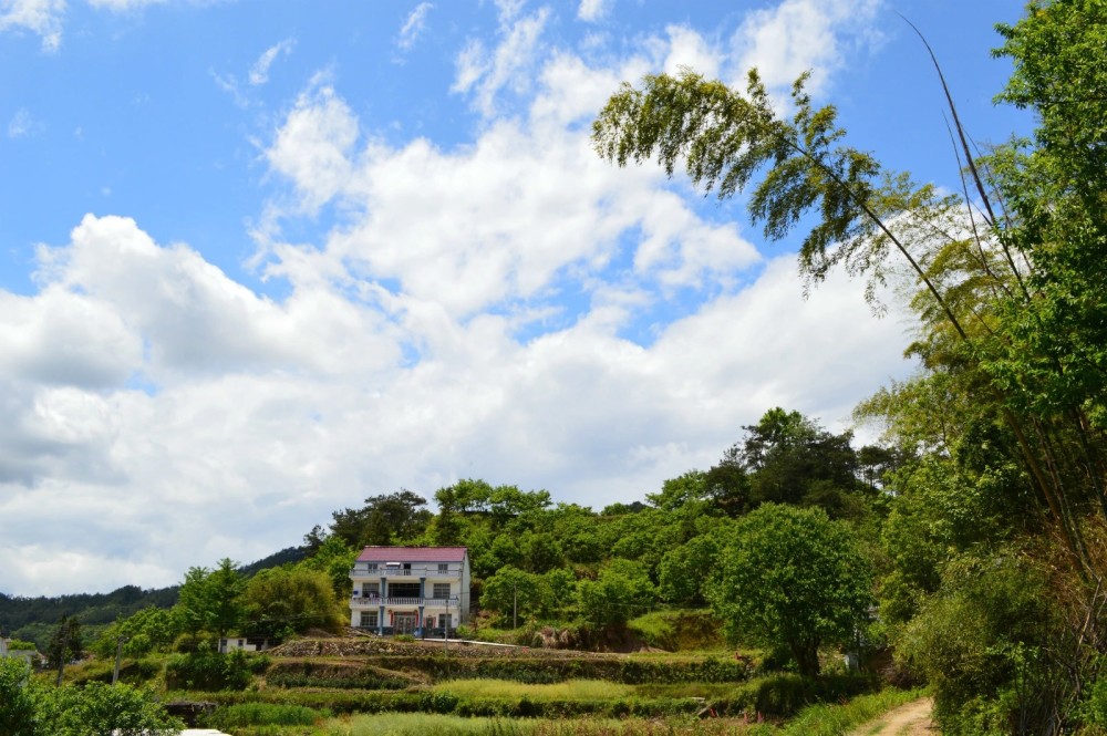 农村风景图片，自然之美的独特展现