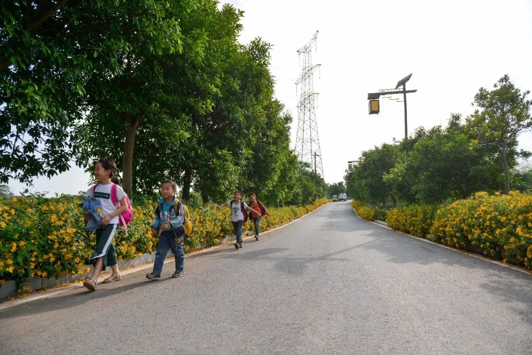 上学路上的风景，沿途美景一览