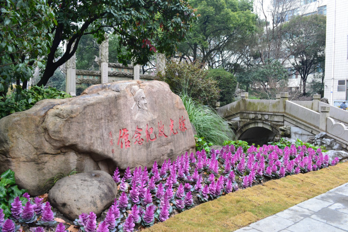 莘庄公园风景区，自然与文化交融的胜地