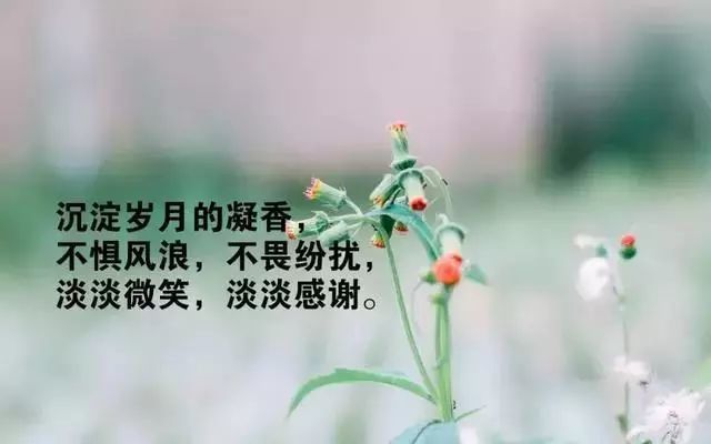 揭秘情感世界，探索与表达内心情感的奥秘