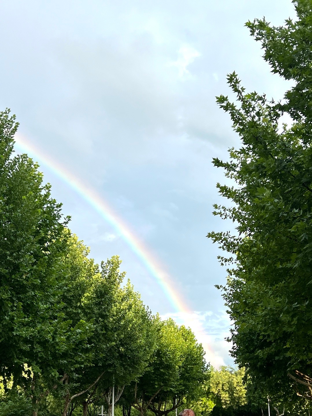 雨过天晴，生命的洗礼与希望的曙光显现