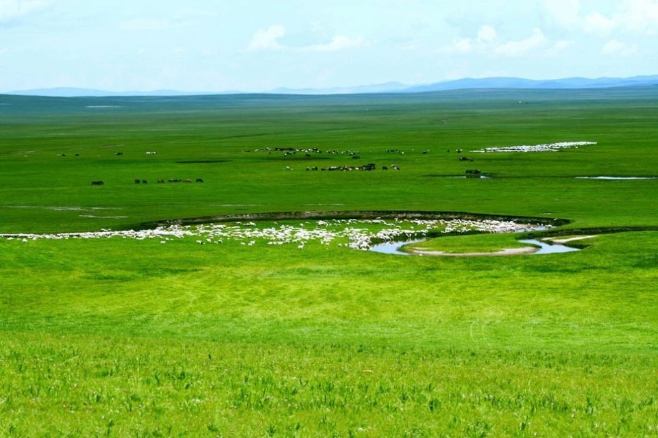 草原图片壁纸风景