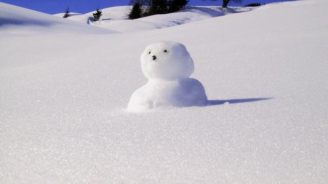 雪落心间，情感交织的冬日美景画卷