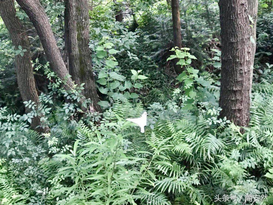 你是我旅途中最美的风景